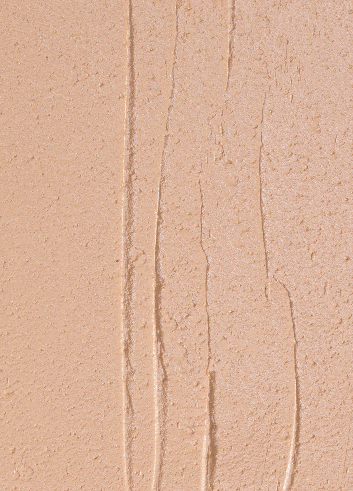 vegan cruelty free full coverage concealer creme concealer. #shade_CN2_|_Light_Neutral