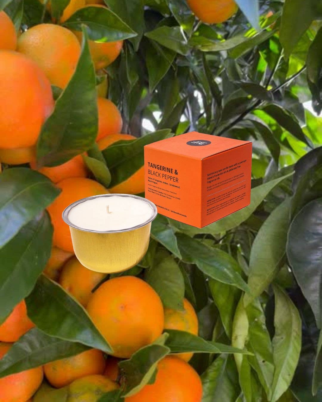 CandlePod ™ Soy Wax Candle Refill - Tangerine & Black Pepper