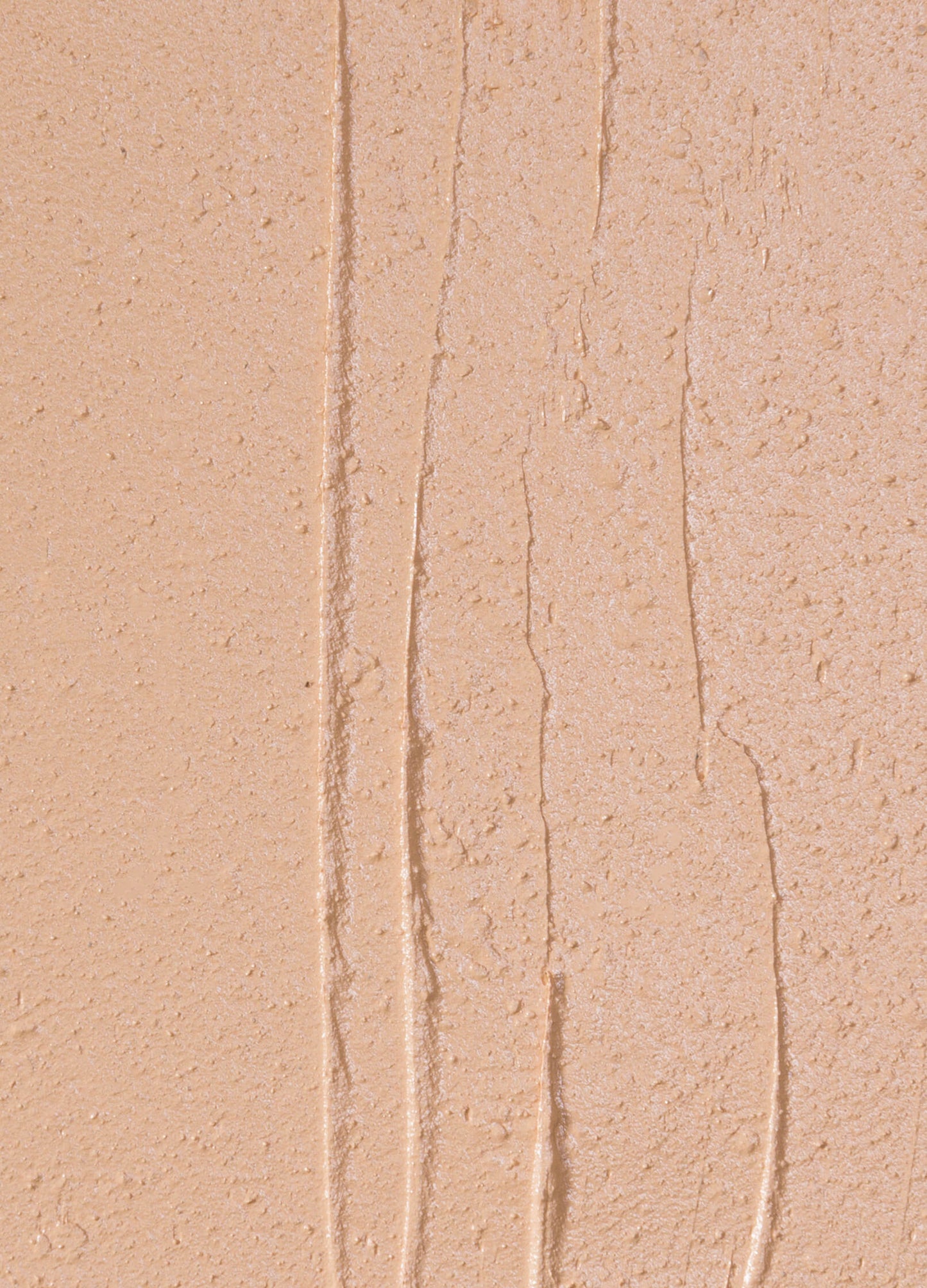 vegan cruelty free full coverage concealer creme concealer.  #shade_CN2_|_Light_Neutral