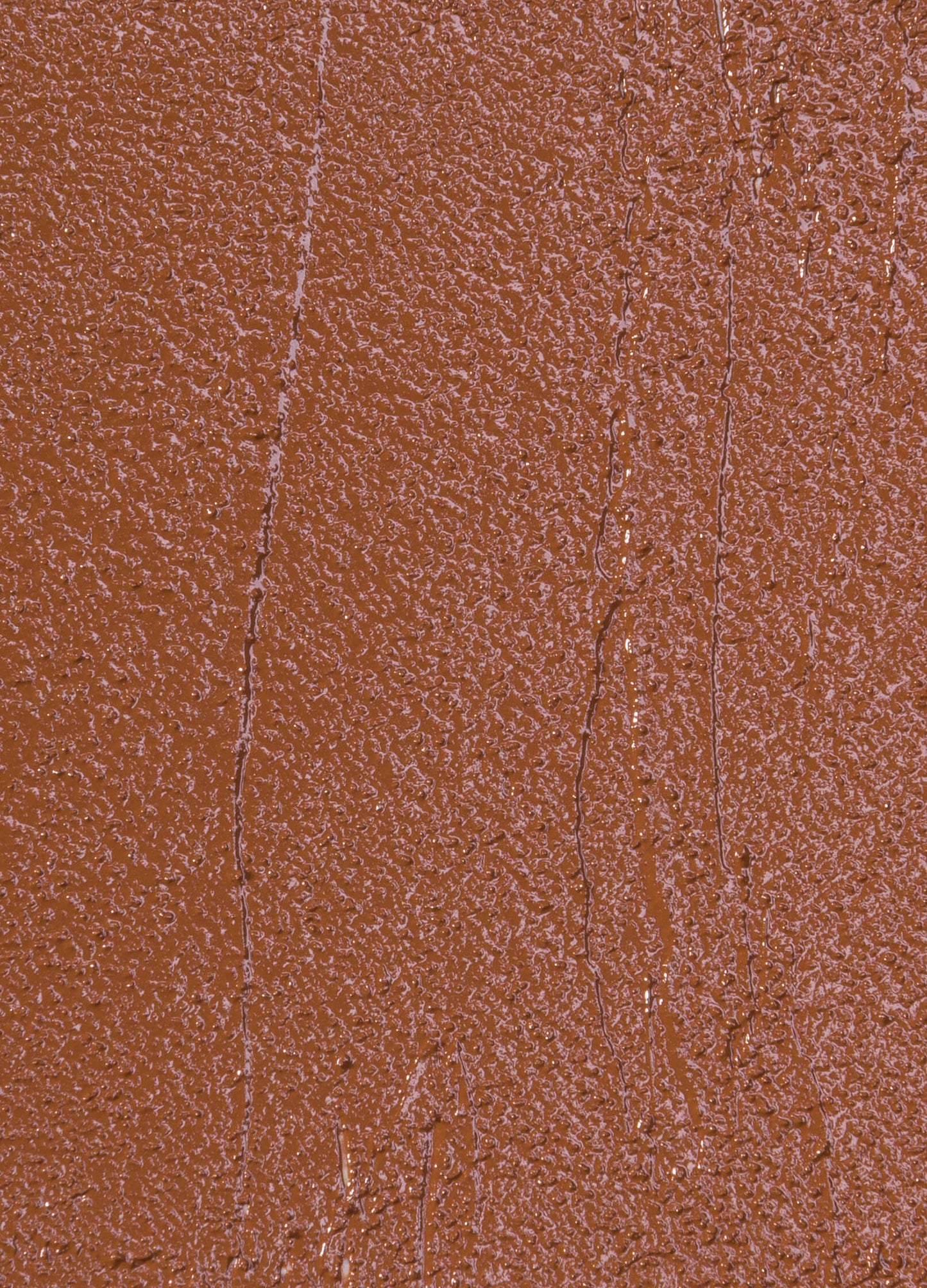 vegan cruelty free full coverage concealer creme concealer. #shade_CW6_|_Medium_Deep_Warm